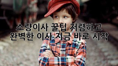 소량이사 꿀팁🍯: 저렴하고 완벽한 이사, 지금 바로 시작!