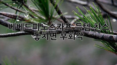 베베드피노스카프 득템 찬스! ✨ 놓치면 후회각 💯