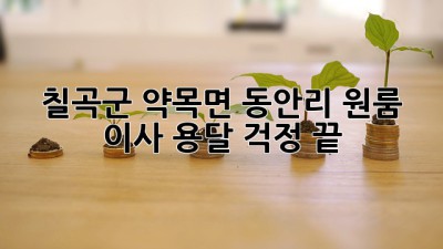 칠곡군 약목면 동안리 원룸 이사 용달, 걱정 끝!